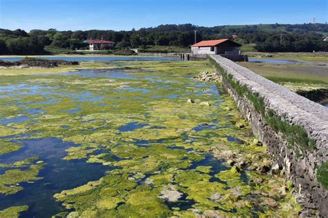 que ver en santoña en un día|Esto es lo que puedes hacer en Santoña en un día